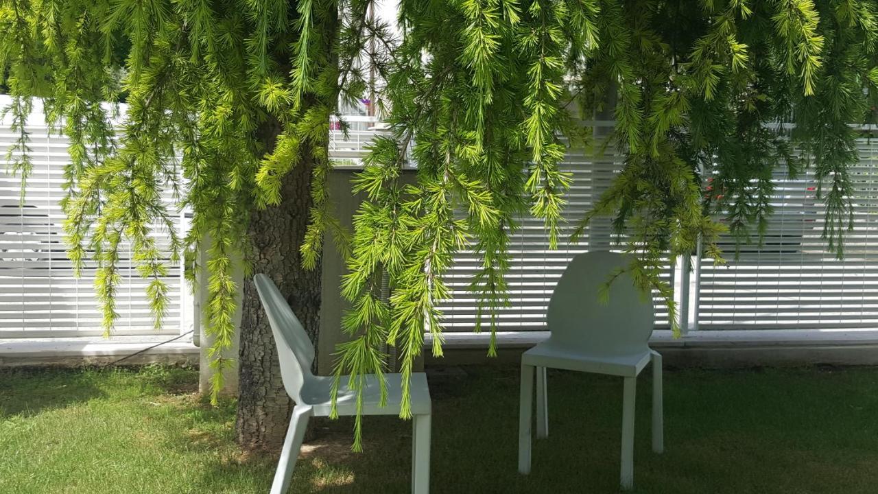 B&B "Al Colle 11" Fano Eksteriør billede